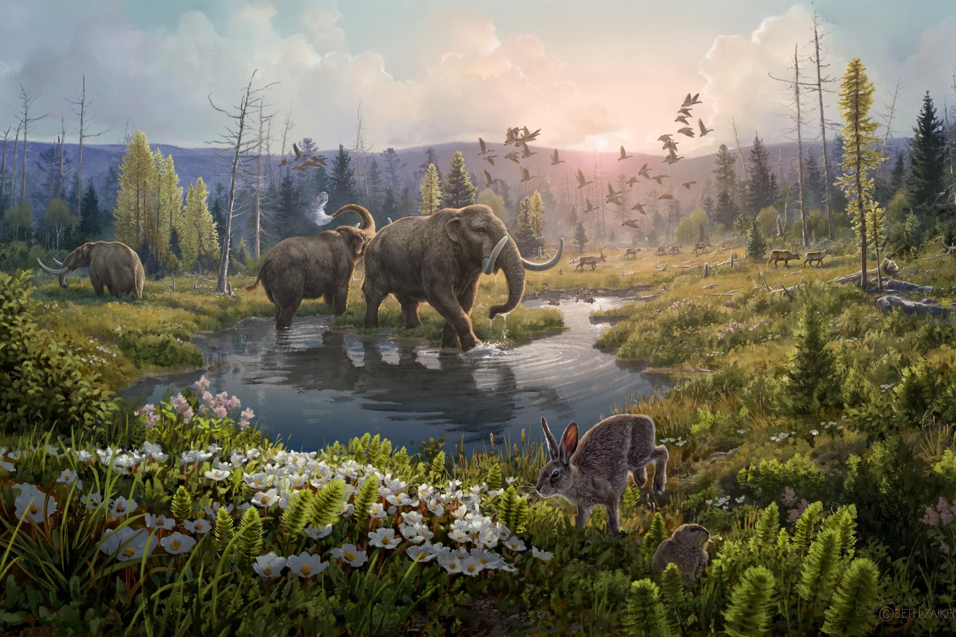 HUNT FOR THE WORLDS OLDEST DNA
