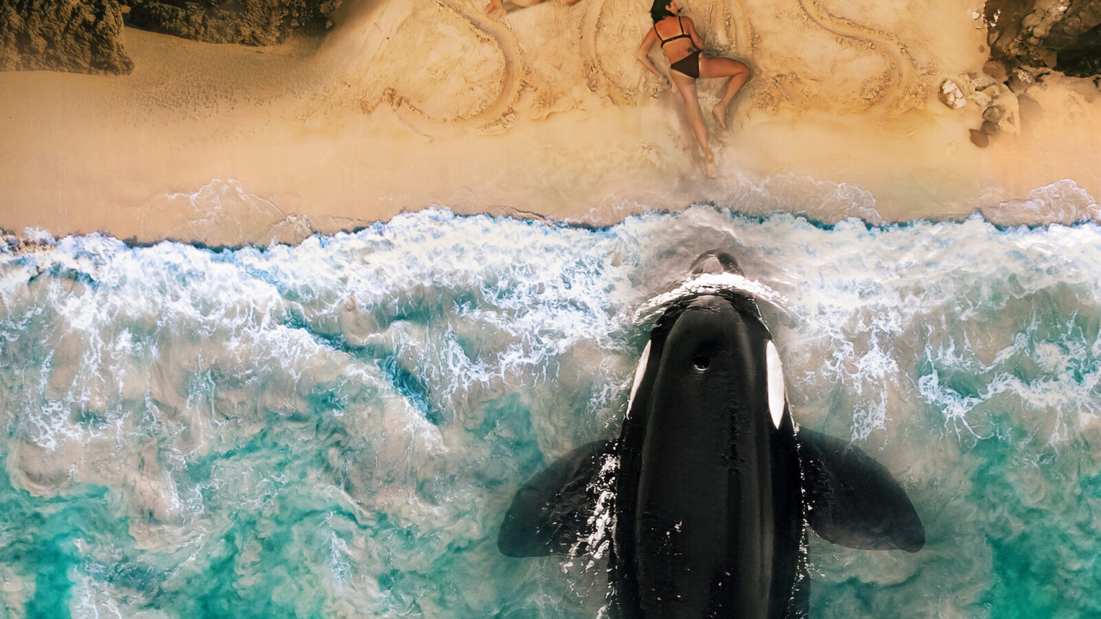 KILLER WHALE